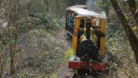 "Polar Bear" pulls a passenger train up the hill along Amberley'