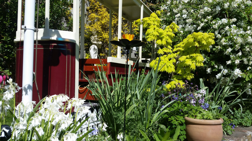 Blackgang garden railway