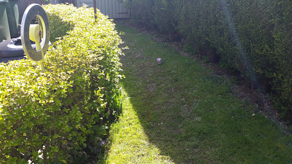 Construction of the Blackgang Garden Railway