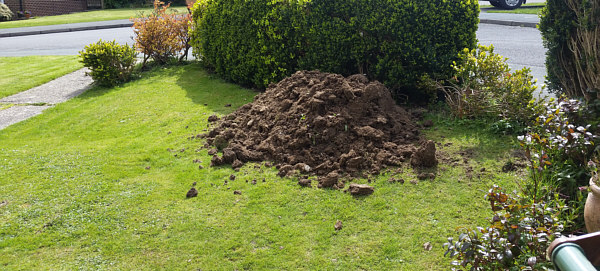 Construction of the Blackgang Garden Railway