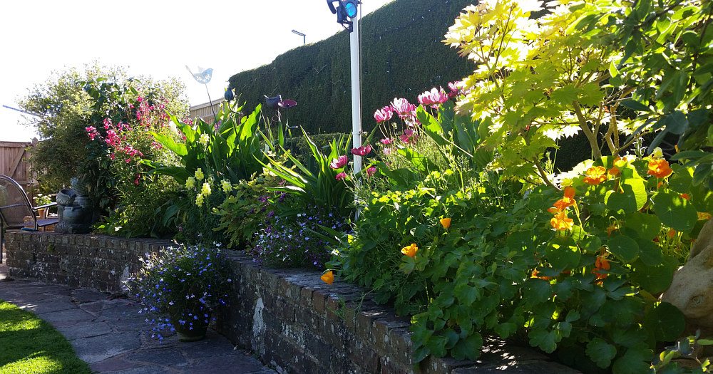 Blackgang garden railway