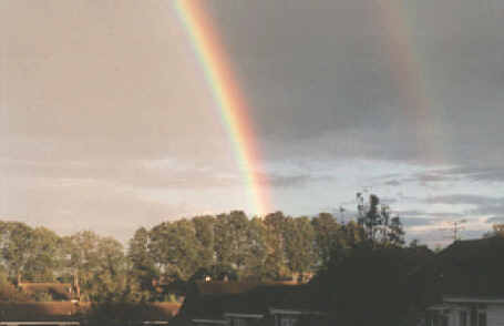 double rainbow