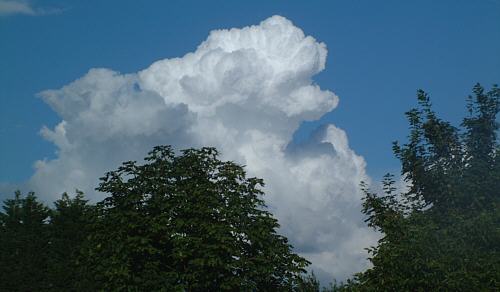 daytime cumulus