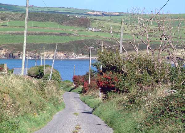 West Cork - south of Timoleague