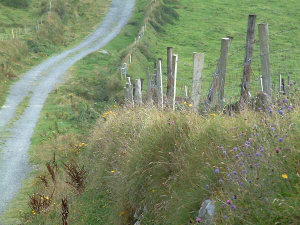 West Cork - Dursey Island