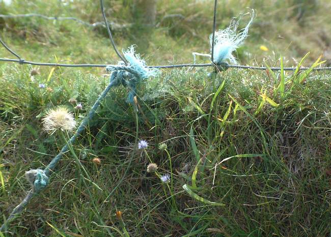 West Cork - Dursey Island
