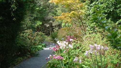 Garnish Island - Ilnacullin, Bantry Bay near Glangarriff