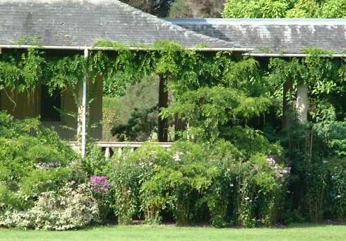 Garnish Island - Ilnacullin, Bantry Bay near Glangarriff