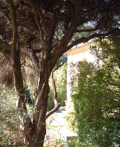 Garnish Island - Ilnacullin, Bantry Bay near Glangarriff