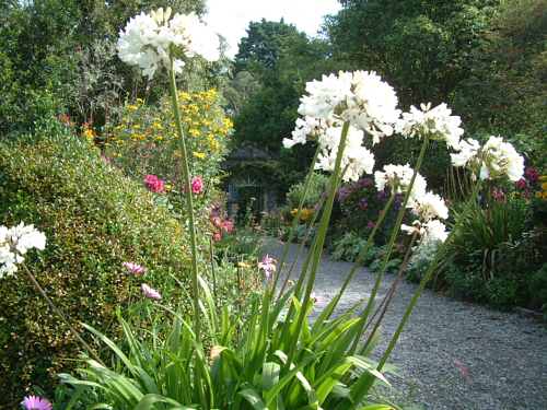 Garnish Island - Ilnacullin, Bantry Bay near Glangarriff