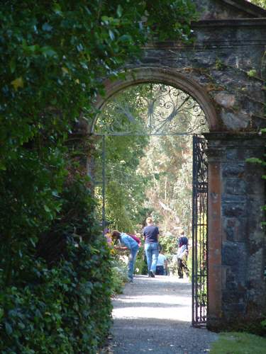 Garnish Island - Ilnacullin, Bantry Bay near Glangarriff