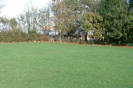 Henfield St. Peter's School firework display, 6th November, 1999.