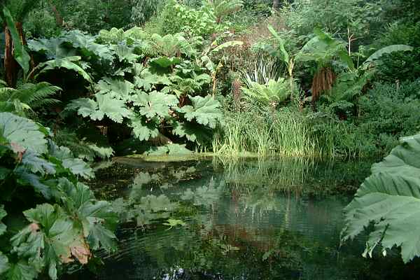 Groombridge Place Gardens - Dave Parker's photographs