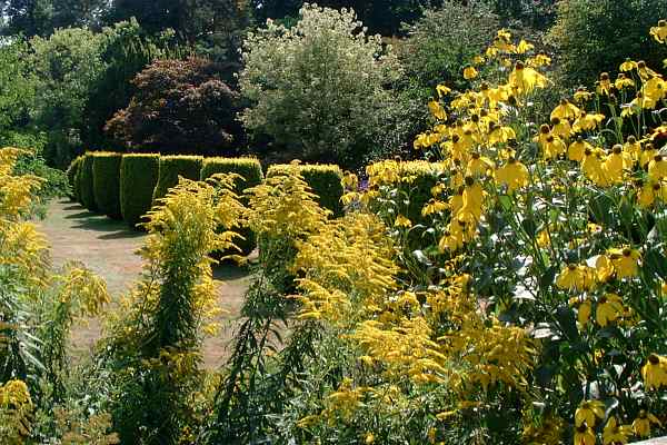 Groombridge Place Gardens - Dave Parker's photographs