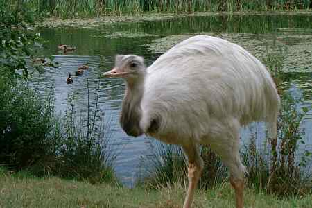 Groombridge Place Gardens - Dave Parker's photographs