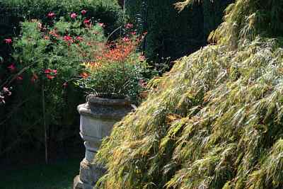 Groombridge Place Gardens - Dave Parker's photographs