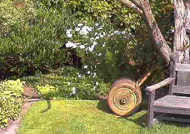 Groombridge Place Gardens - Dave Parker's photographs