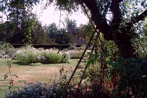 Groombridge Place Gardens - Dave Parker's photographs