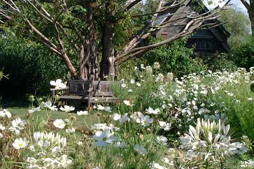 Groombridge Place Gardens - Dave Parker's photographs
