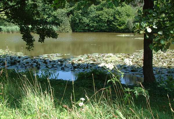 Herstmonceux Castle Grounds and nature trail