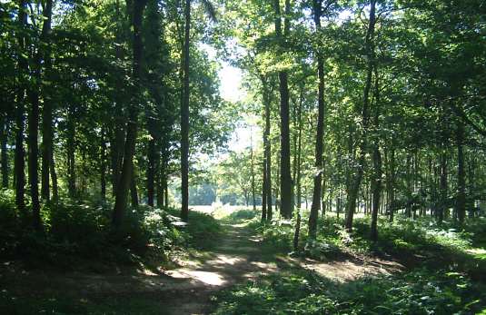 Herstmonceux Castle Grounds and nature trail