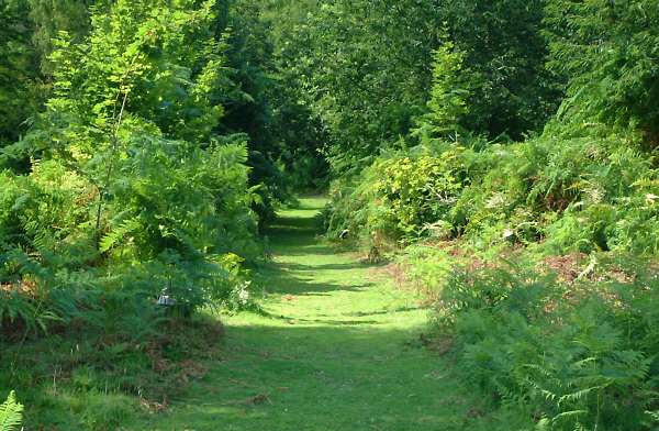 Herstmonceux Castle Grounds and nature trail
