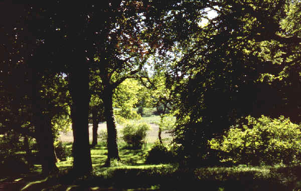 Appuldurcombe House