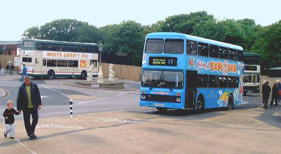 Blackgang evening buses