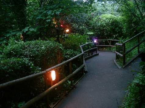 Beautiful Blackgang Chine theme Park