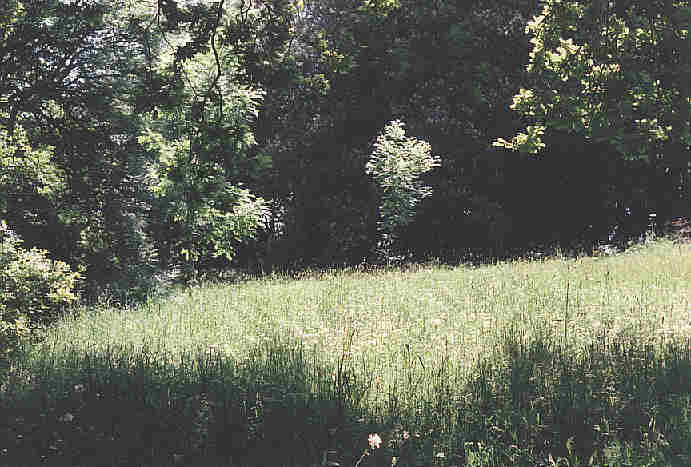 Photo of Barton Manor