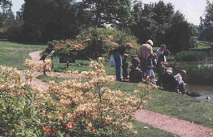 Photo of Barton Manor
