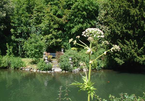 Bonchurch, Isle of Wight