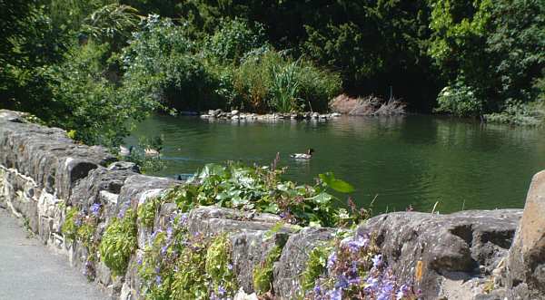 Bonchurch, Isle of Wight