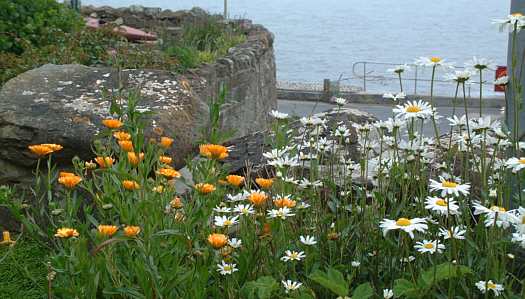 Bonchurch, Isle of Wight