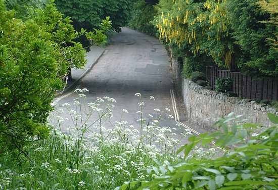 Bonchurch, Isle of Wight