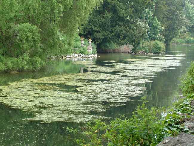 Bonchurch, Isle of Wight