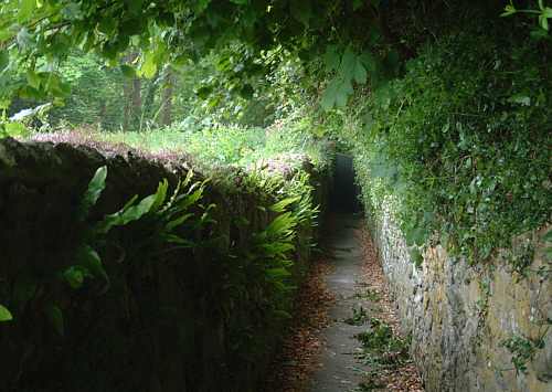 Bonchurch, Isle of Wight