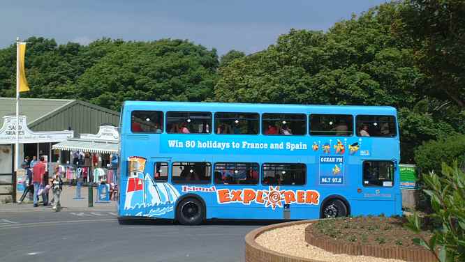 Alum Bay buses