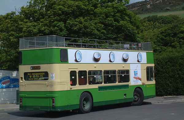 Alum Bay buses