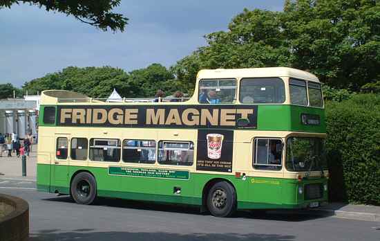 Alum Bay buses