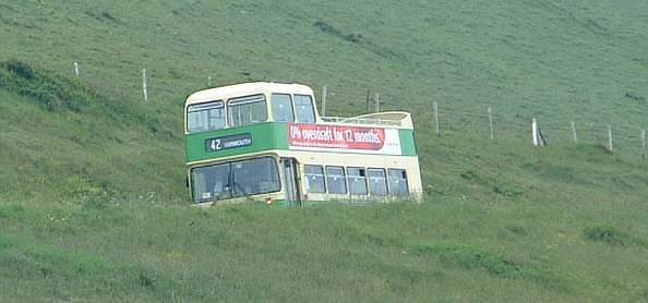 Alum Bay buses