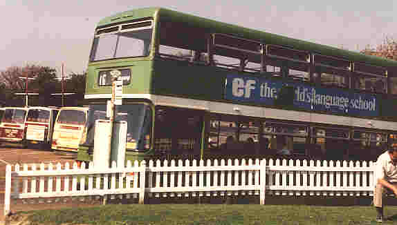 bus at blackgang