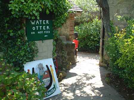 Picture of Godshill Old Smithy Water 'Otter, Isle of Wight