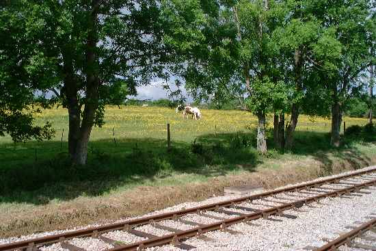 Haven Street Railway, IW