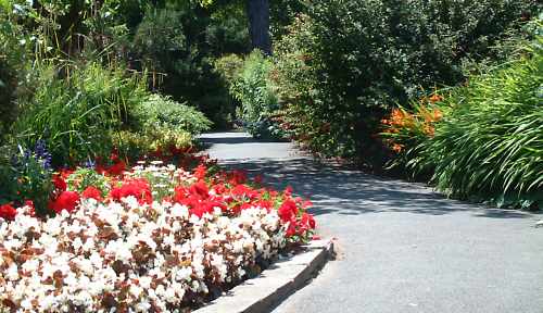 Ventnor Park, Isle of Wight