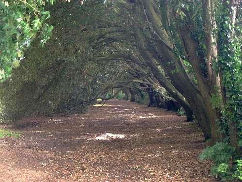 Los Altos Park, Sandown