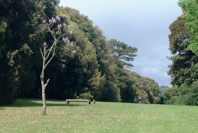 Los Altos Park, Sandown