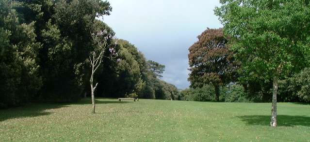 Los Altos Park, Sandown