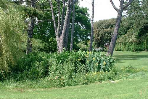 Los Altos Park, Sandown