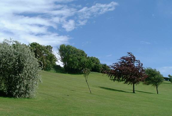 Los Altos Park, Sandown